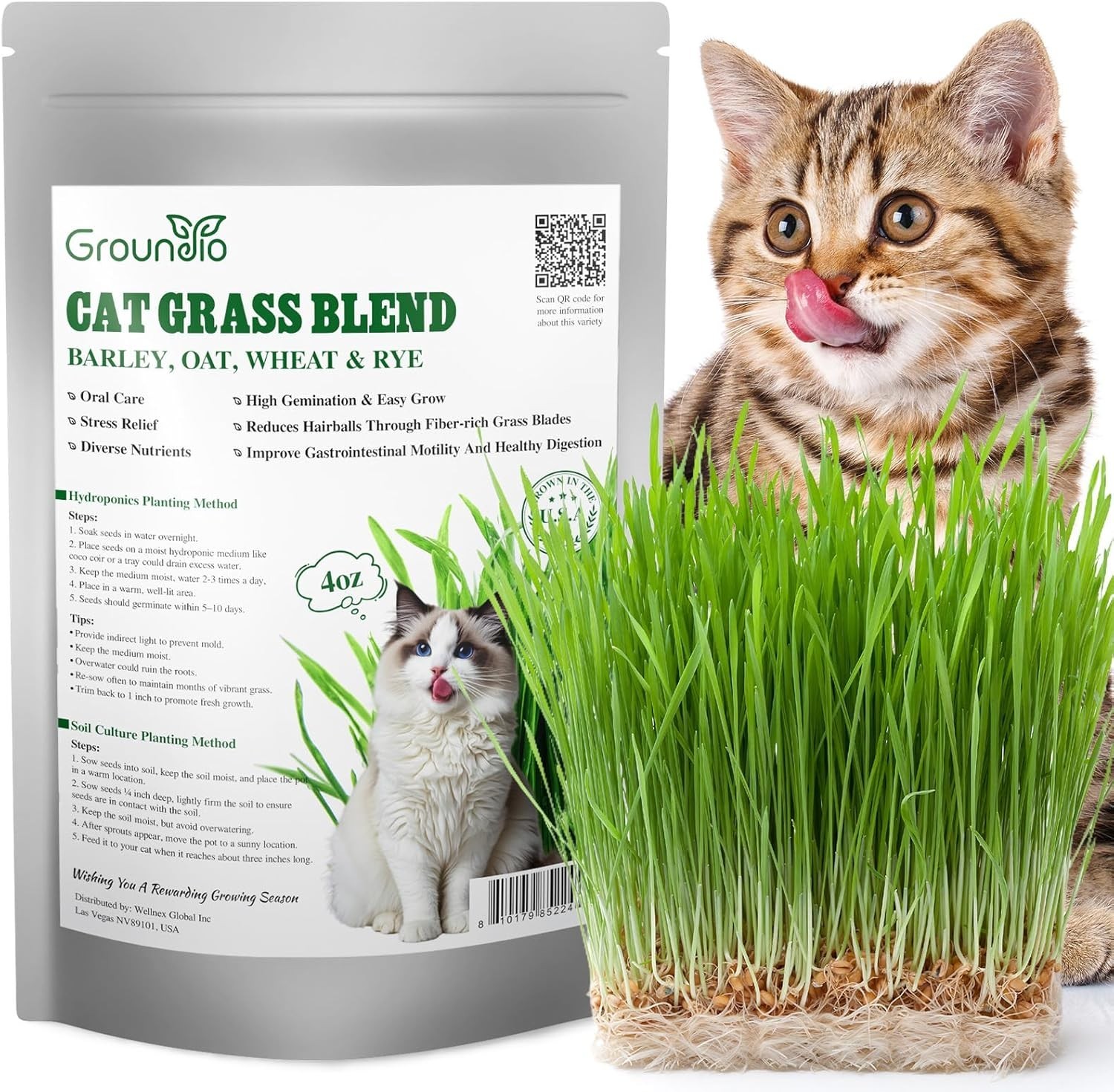 Cat Grass Seed Mix – Non-GMO, Fast Germinate, 4 Varieties, 4 oz