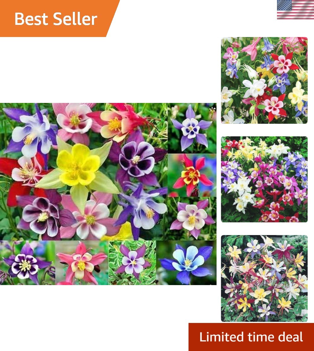 200 Perennial Columbine Seeds – Attract Bees & Hummingbirds with Vibrant Colors!