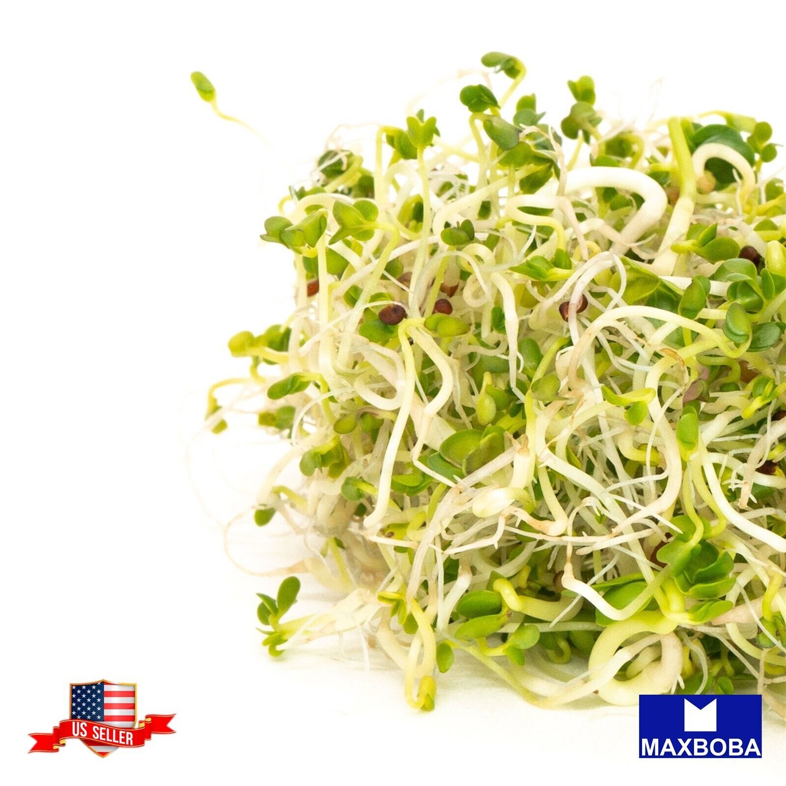 Broccoli Organic – Sprouting Seeds Non-GMO Heirloom