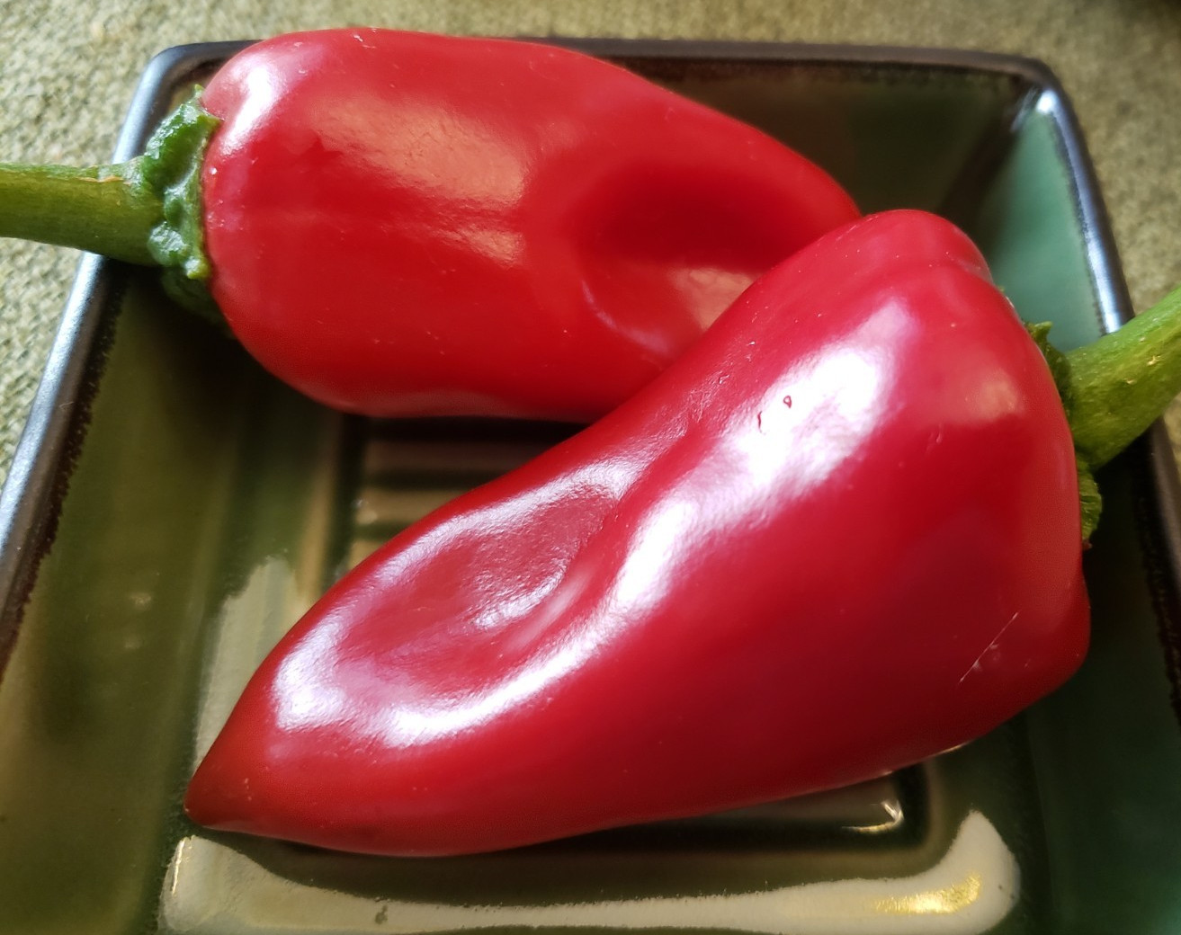 Piquillo Pepper (20 seeds), ideal for roasting Free Shipping!