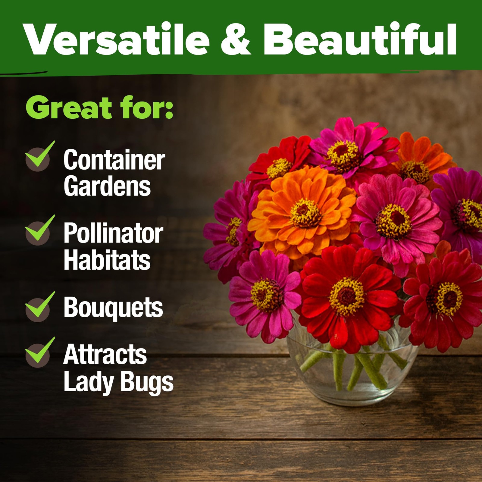 HOME GROWN Zinnia Dahlia Flower Seeds Pack 2026 Non GMO 524 Vibrant Garden Mix
