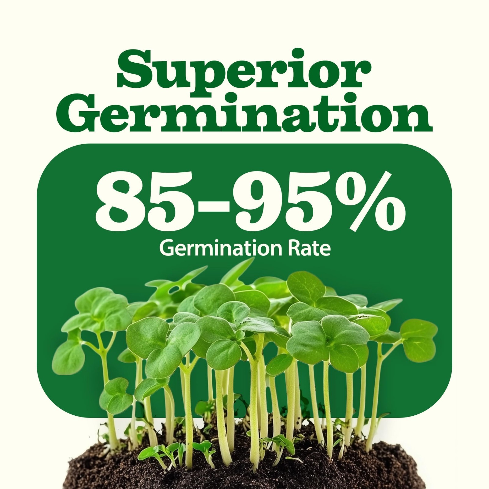 55 Variety Survival Seed Vault – 28,000+ Heirloom Non-GMO Seeds for Year-Round G