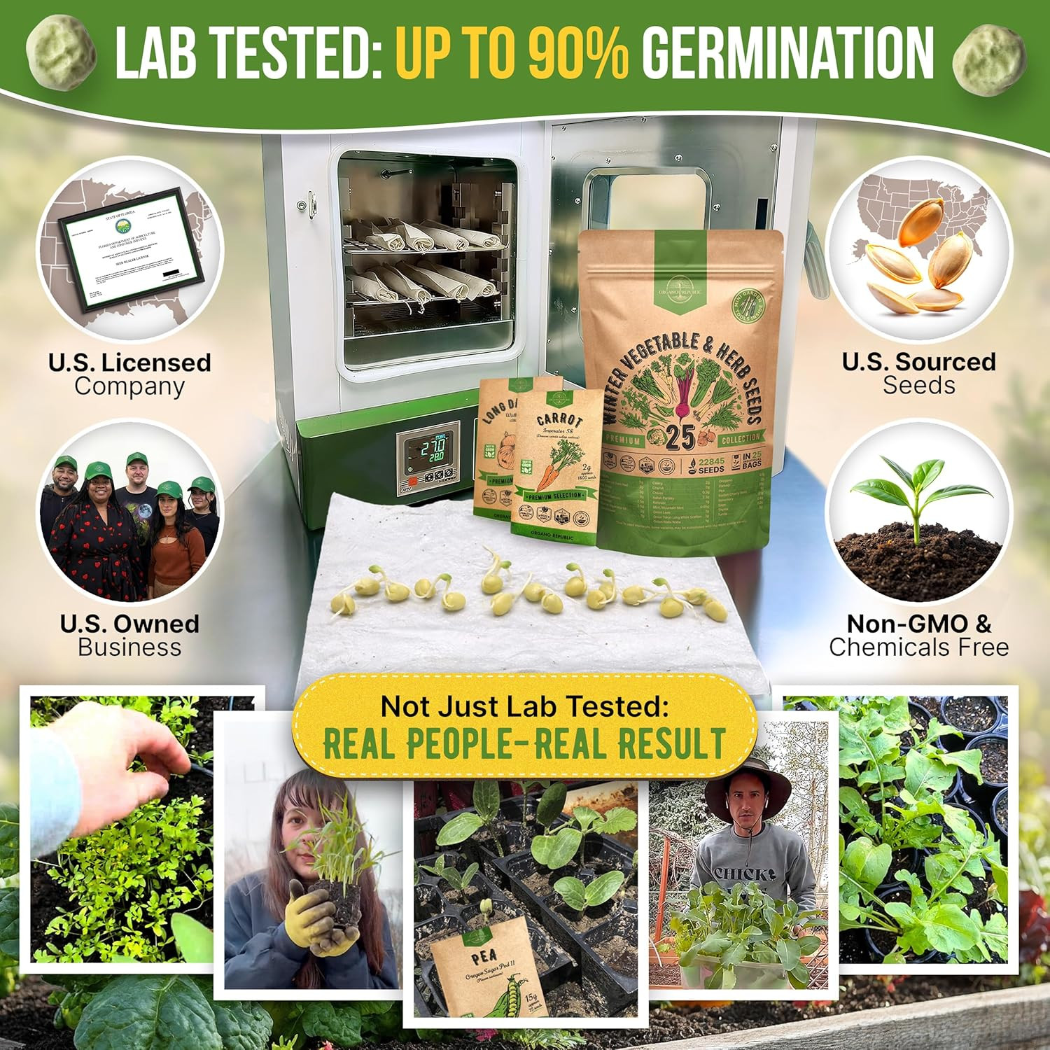 25 Winter Vegetable & Herb Garden Seeds Variety Pack for Outdoors & Indoor