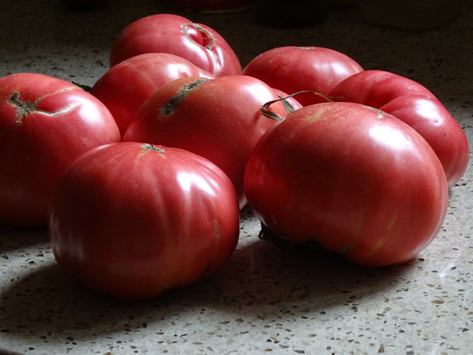 Soldacki Pink Tasty Tomato Heirloom 20 seeds Beefsteak Non-GMO Organic from 2024