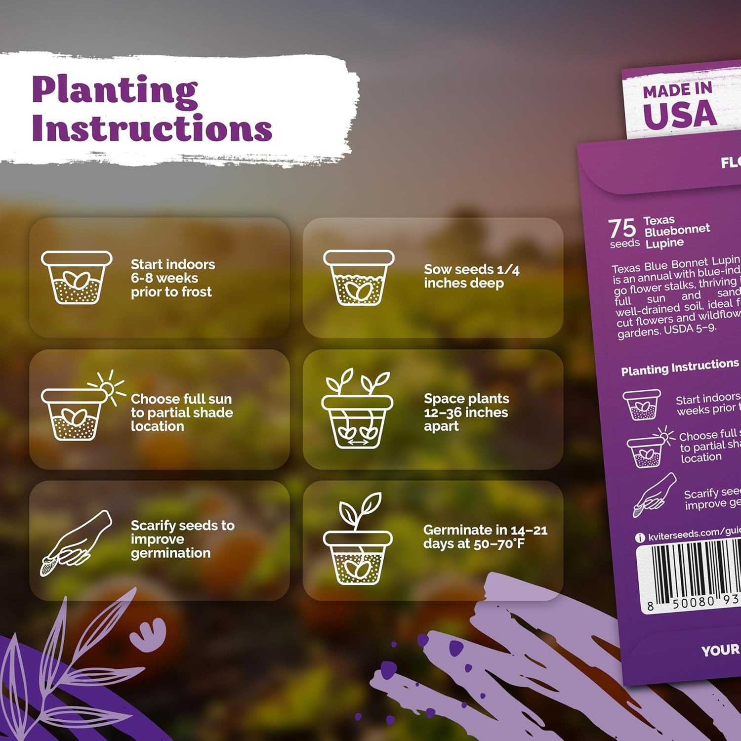 75 Texas Bluebonnet Seeds (Lupinus Texensis) – Texas Lupine, Pollinator Friendly