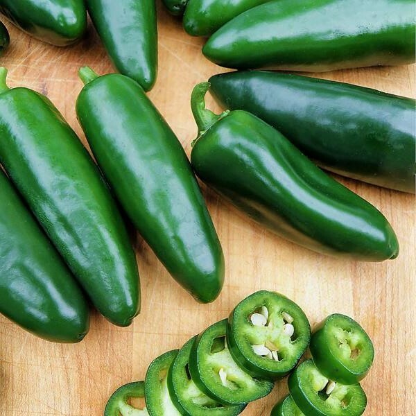 Nadapeno (Heatless Jalapeno) Pepper Seeds 10+ SHIPS FREE!