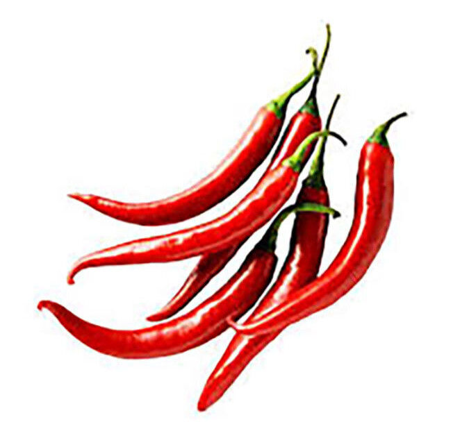 Japanese Yatsufusa Pepper Seeds (30) / Chile Japones / FL GROWN / RARE / HOT