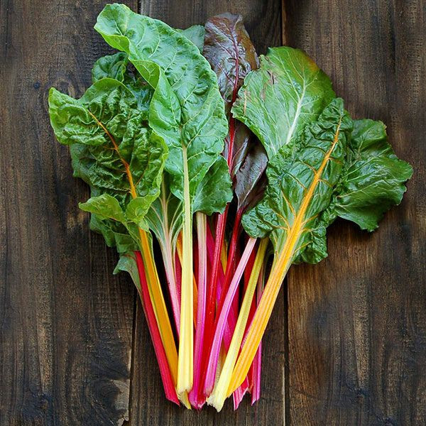 RAINBOW SWISS CHARD 50 SEEDS NON-GMO FRESH FOR GARDENS DELICIOUS