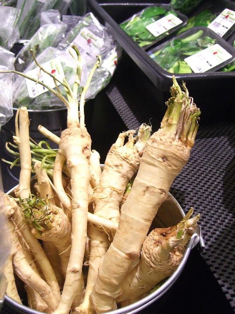 20 Horseradish Bare Roots – Armoracia rusticana