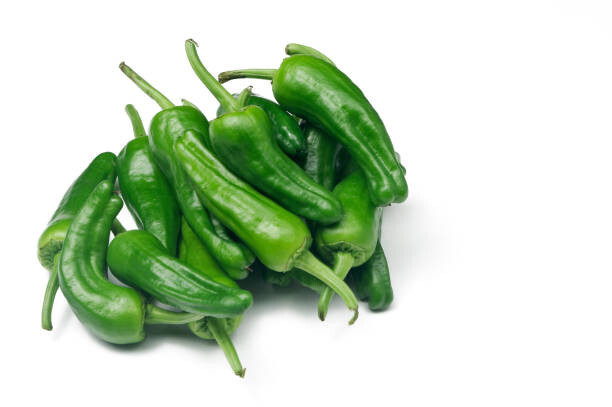 Premium Organic Heirloom Padrón Pepper Seeds – Perfect for Small-Space Gardening