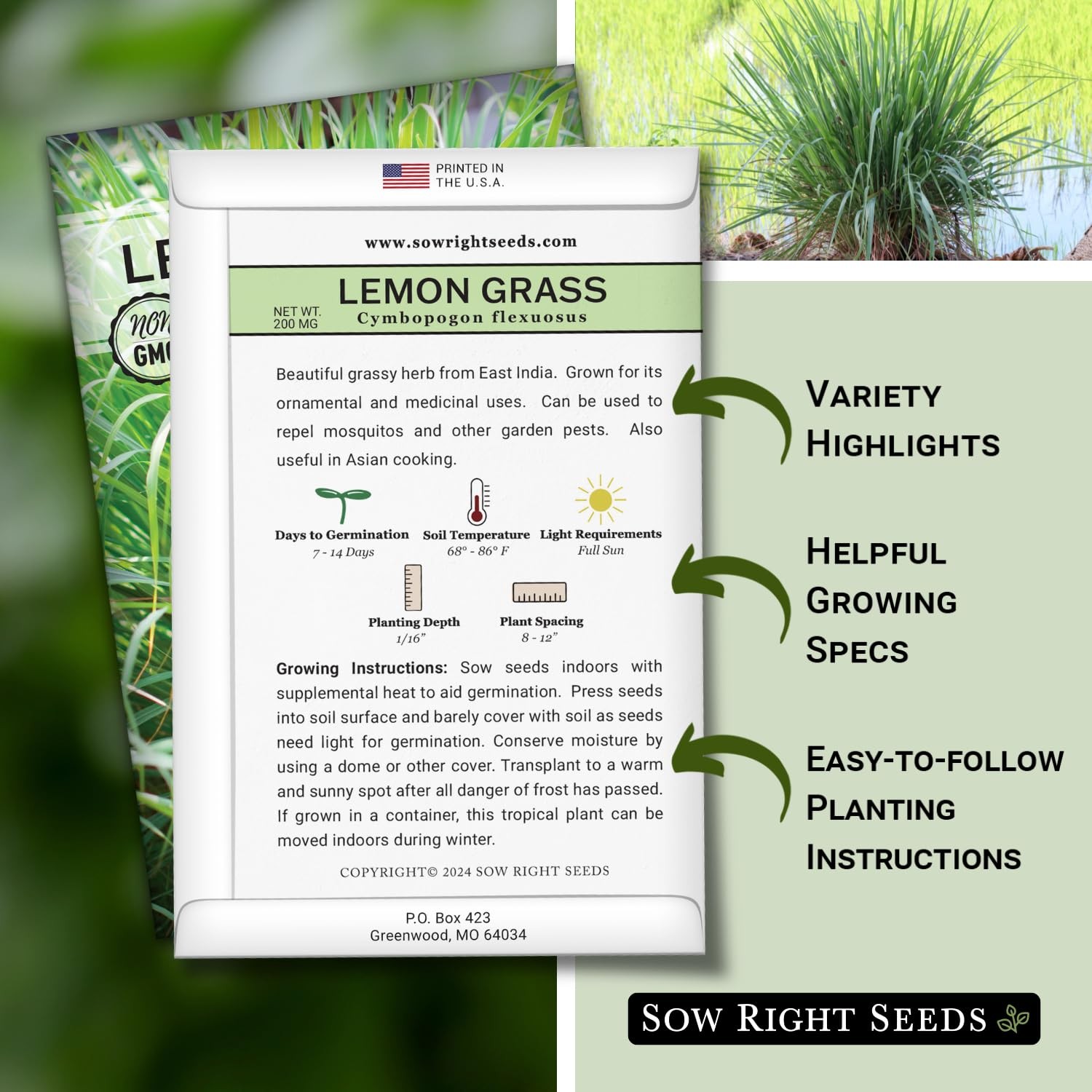 Lemon Grass Heirloom NonGMO Asian Cooking Herbs Garden Planting East Indian