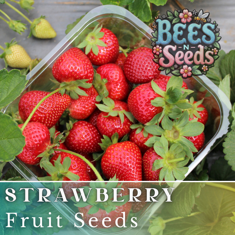 Ruby Brite Strawberry Seeds 150 or 350 Seeds Flower, Flower Seeds, Non GMO