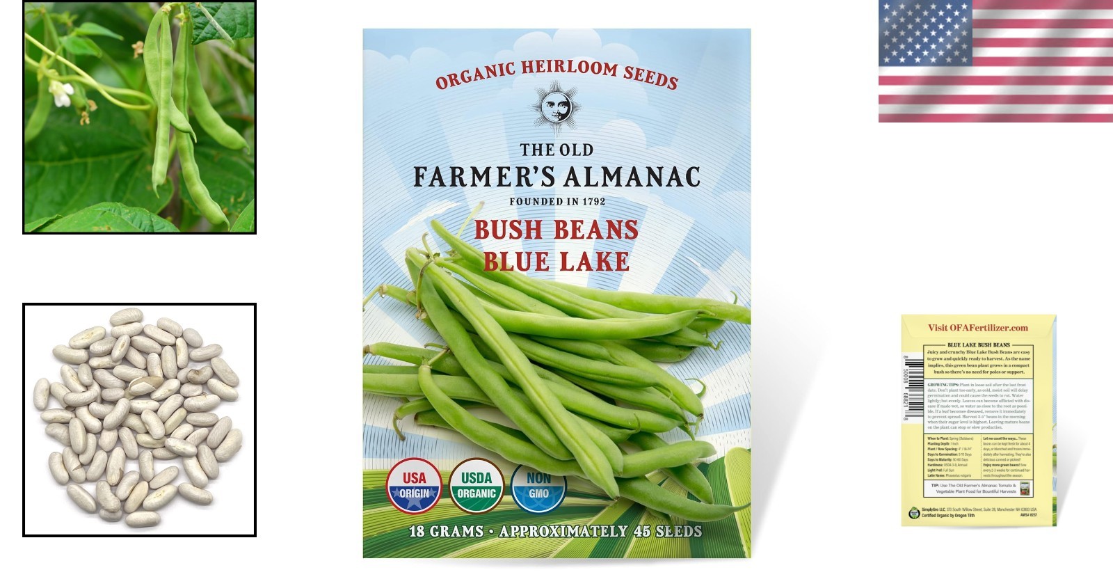 Heirloom Organic Blue Lake Bush Bean Seeds – 55 Non-GMO Seeds for Easy Harvest