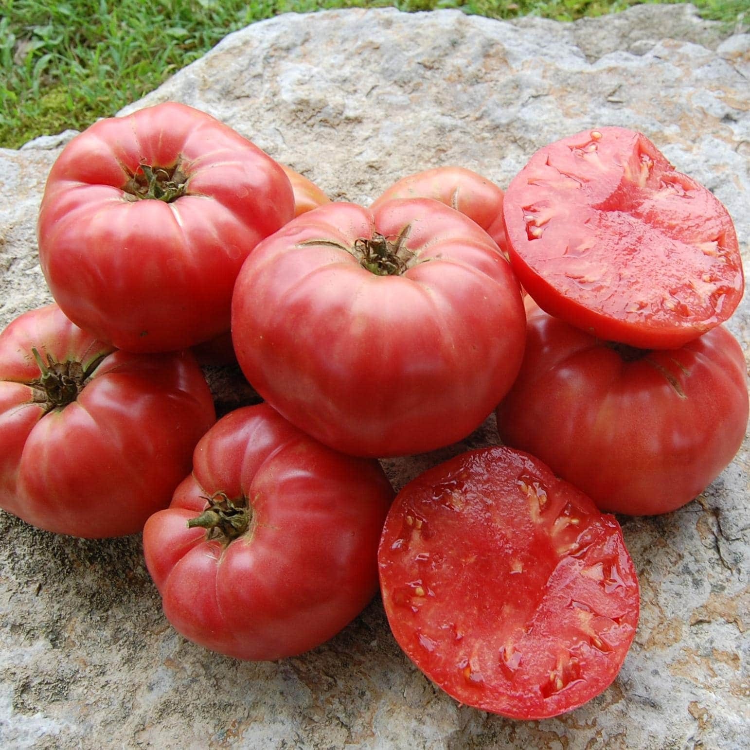 German Pink Tomato: 15 Seeds