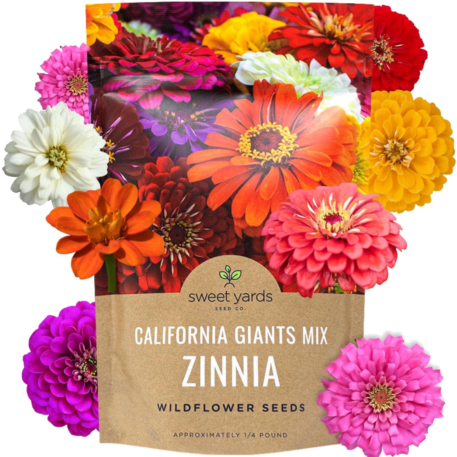 Giant Zinnia Seeds Mix – 1lb Bag – 48,000+ Seeds