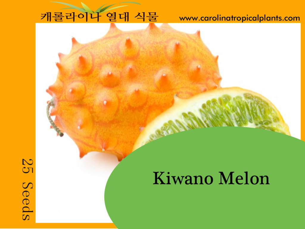 15 Kiwano Melon – 25 Seeds