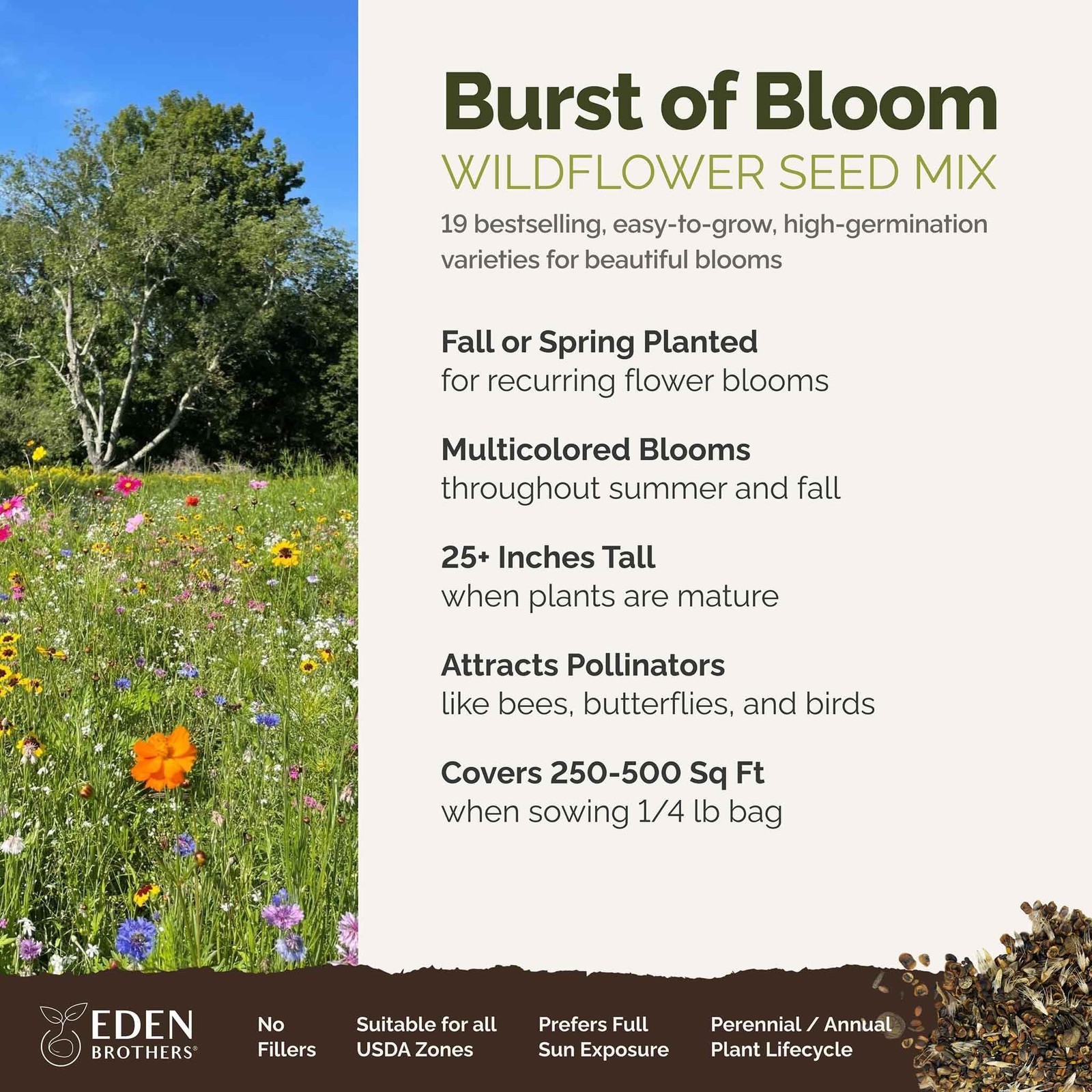 Eden Brothers Burst of Bloom Wildflower Mixed Seeds for Planting, 1/4 lb, 120…