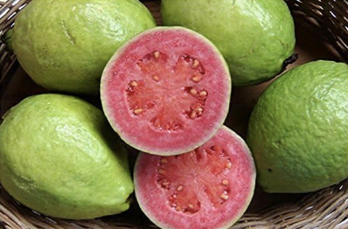 25 Mexican Pink Guava Fruit Seeds Rare Garden Organic NonGMO Grow Sweet Tree