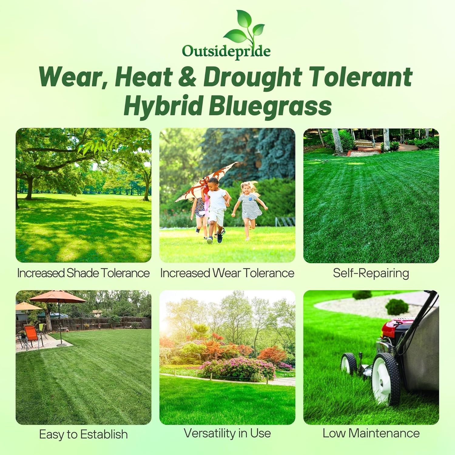 5 LBS – OptiGrowth Coated SPF-30 Hybrid Heat & Drought Tolerant Kentucky