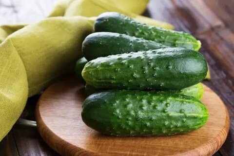 Self-Pollinated Cucumber Seeds for Pickling – Non-GMO Heirloom, 40 Days
