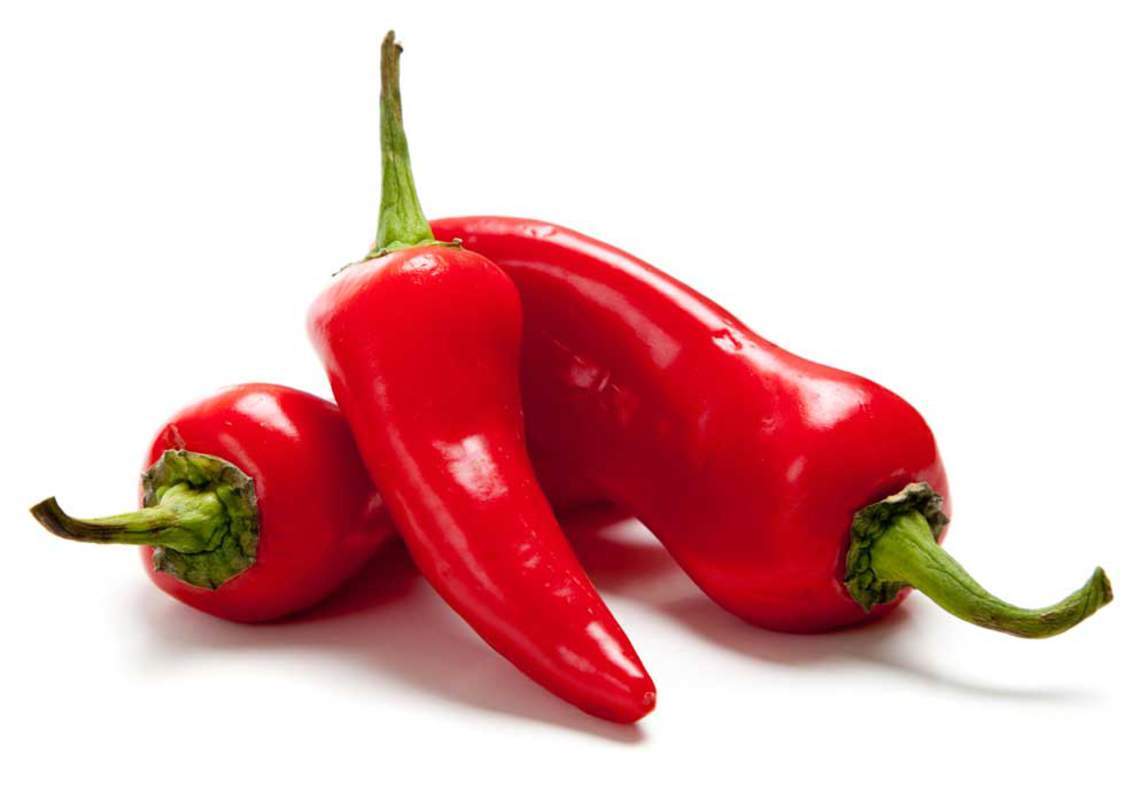 1-2000 PCS Early Jalapeno Pepper Tree Seeds Capsicum Annuum Green Fruit Red 0153