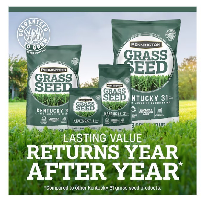 SALE-Pennington Kentucky 31 Tall Fescue Grass Seed 7 lb Covers Up to 1400 Sq Ft
