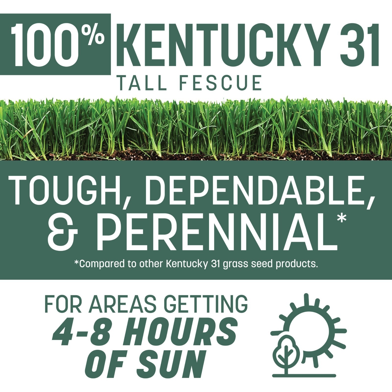Tall Fescue Grass Seed 20 lb – Kentucky 31, Drought-Resistant, Lush Lawn Seed