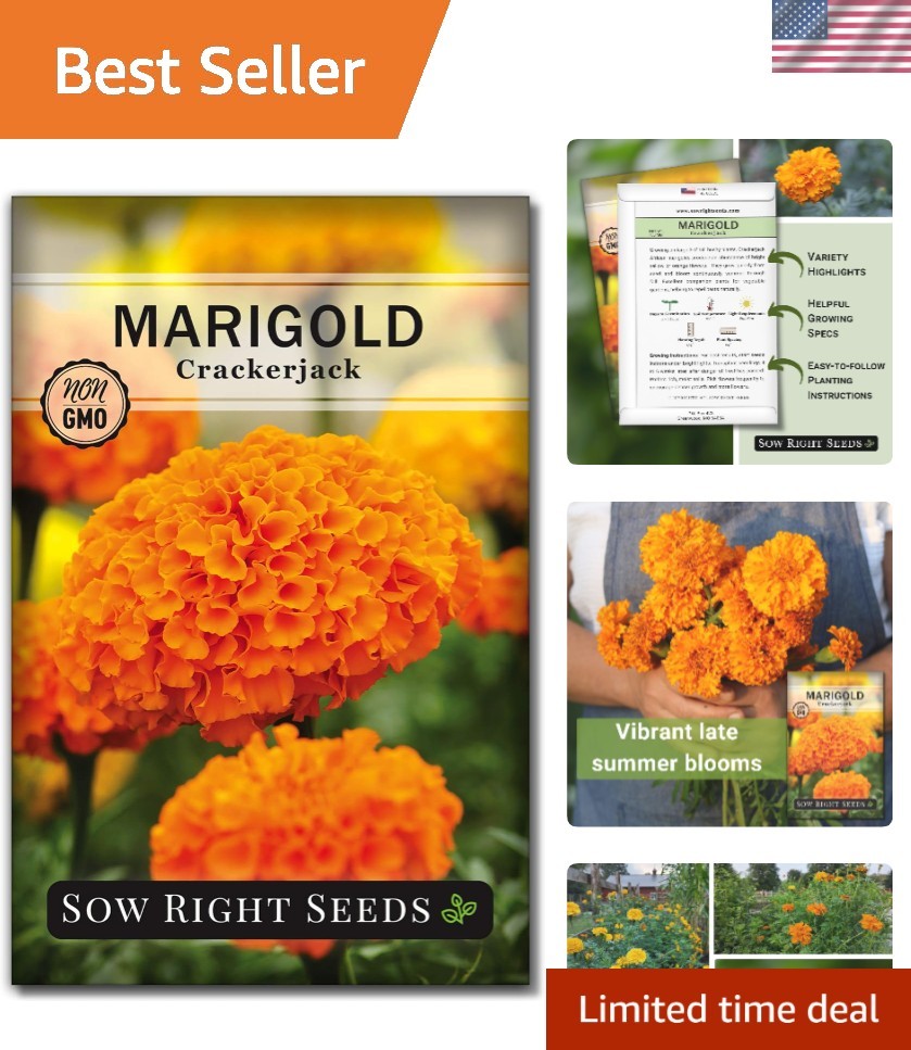 Eco-Friendly Marigold Seeds for Ideal Gardening – Support Pollinators Naturally