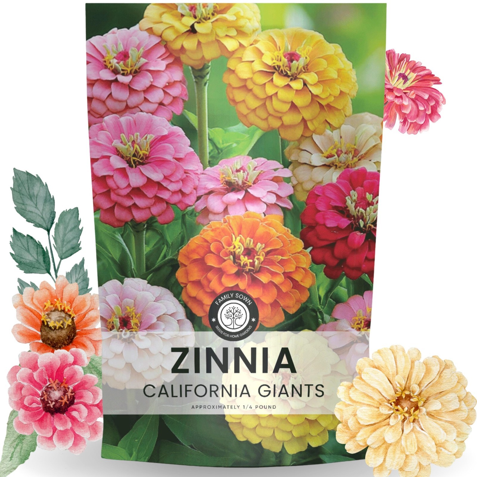 Bulk Zinnia Seeds – 12,000 California Giants Flower Seeds for Planting – 1/4 lb