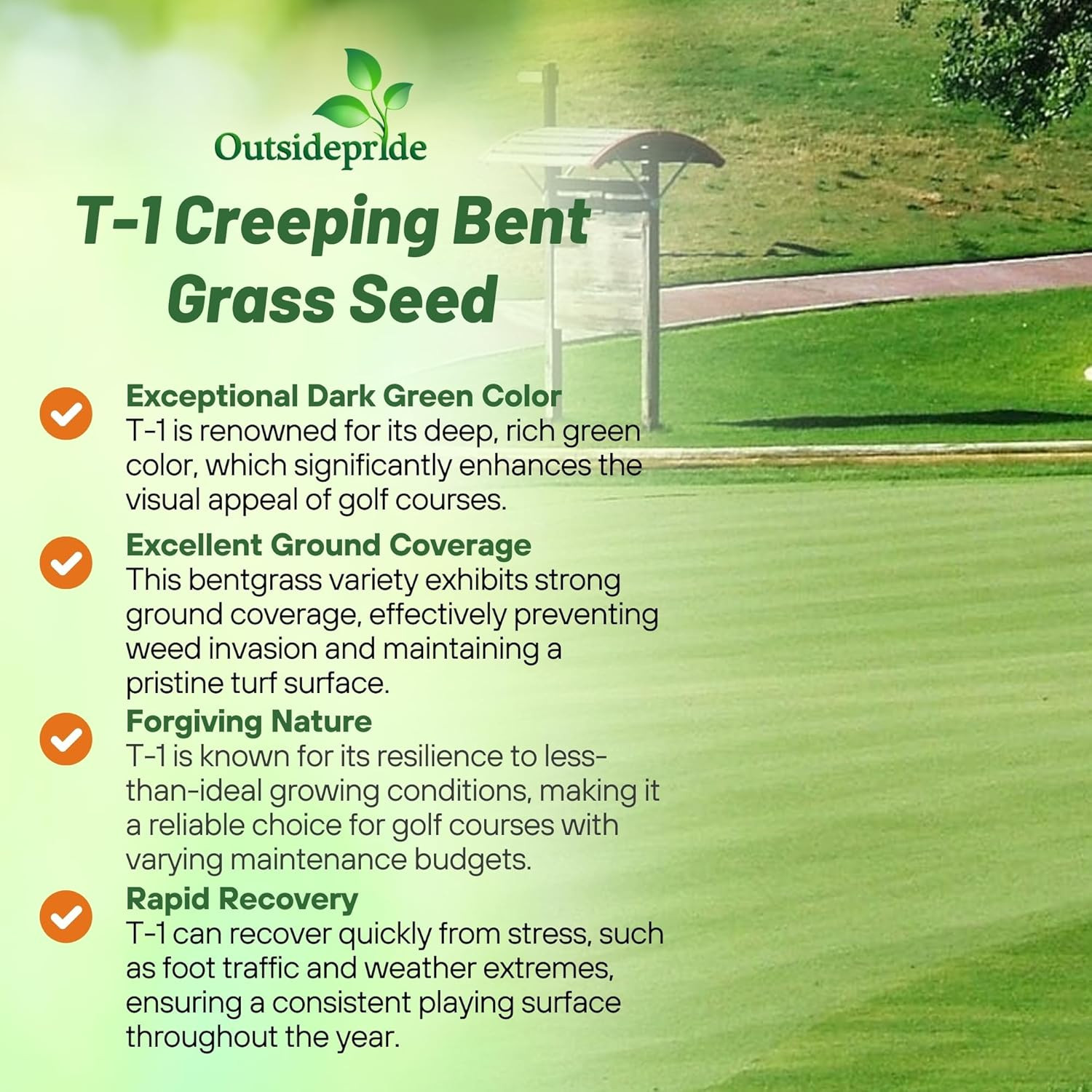 T-1 Creeping Bentgrass Seed – 5 Lbs Fine-Bladed, Premium Quality Turf, Grass See