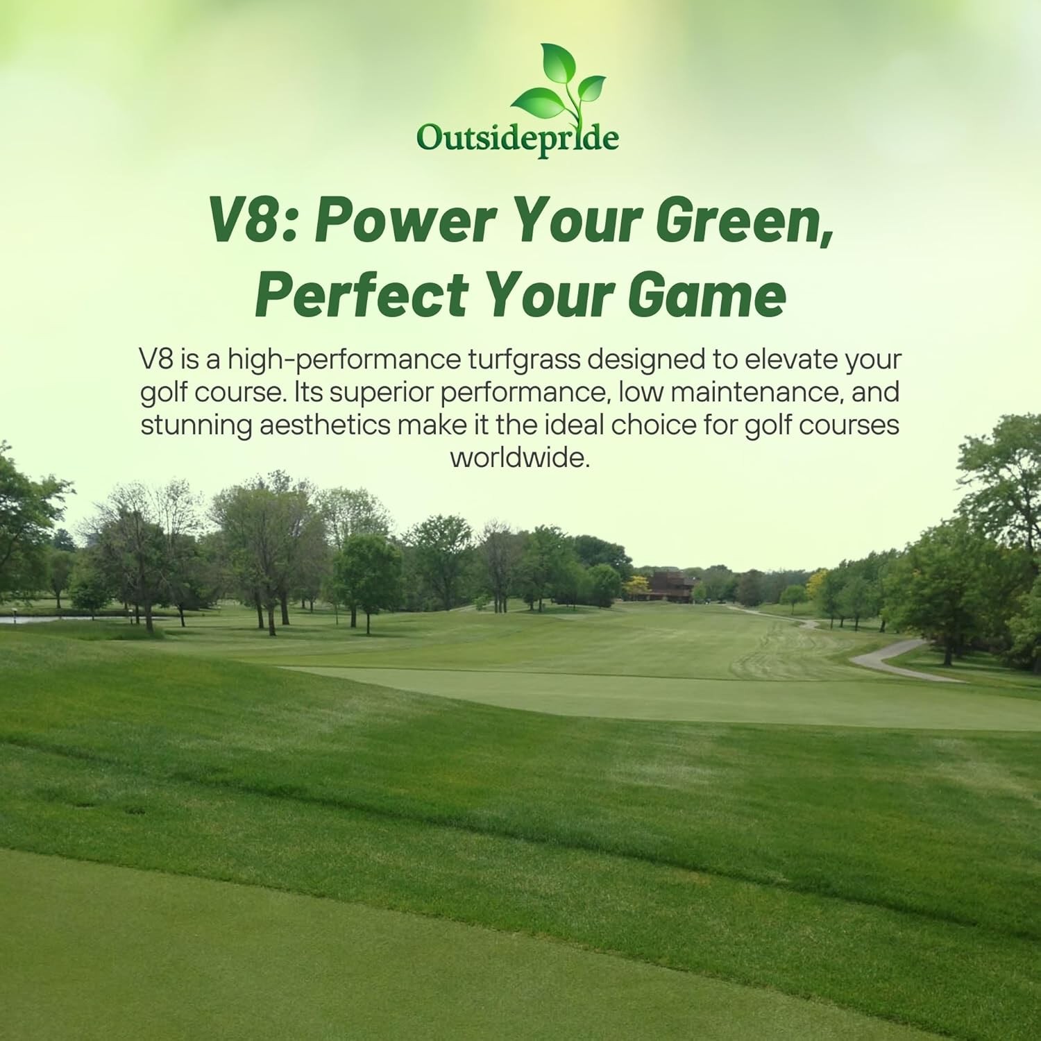 1 LB V8 Creeping Bent Grass Seed For Golf Courses & Putting Greens