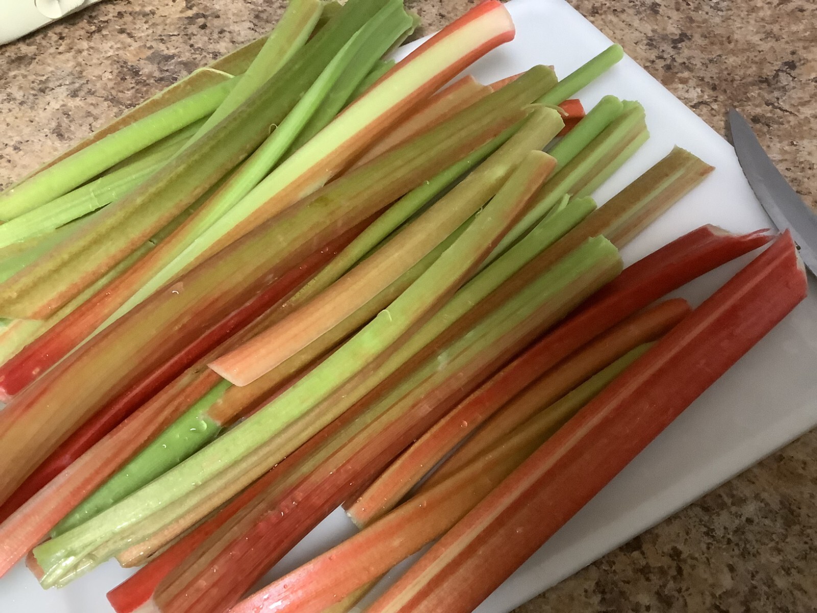 “NEW FREST 2025 ” RHUBARB SEEDS 50+ “Victoria” HUGE perennial VEGETABLE sweet