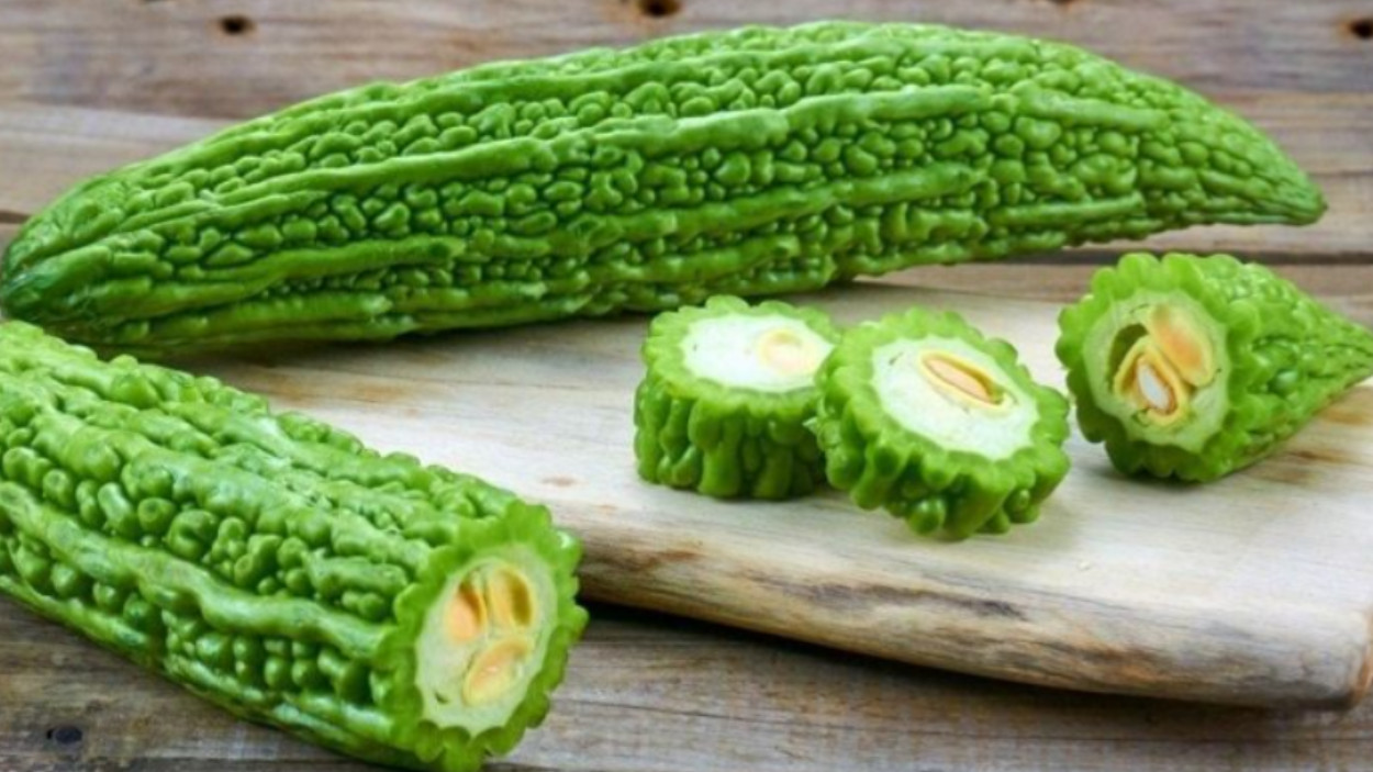 Hybrid Asian Bitter Gourd Seeds – Long Fruit Fat Type – 2g per Pack – Khổ Qua Mỡ