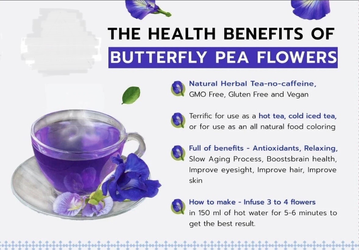 25+ Thai Double Blue Butterfly Pea Seeds, Clitoria ternatea, Genuine USA