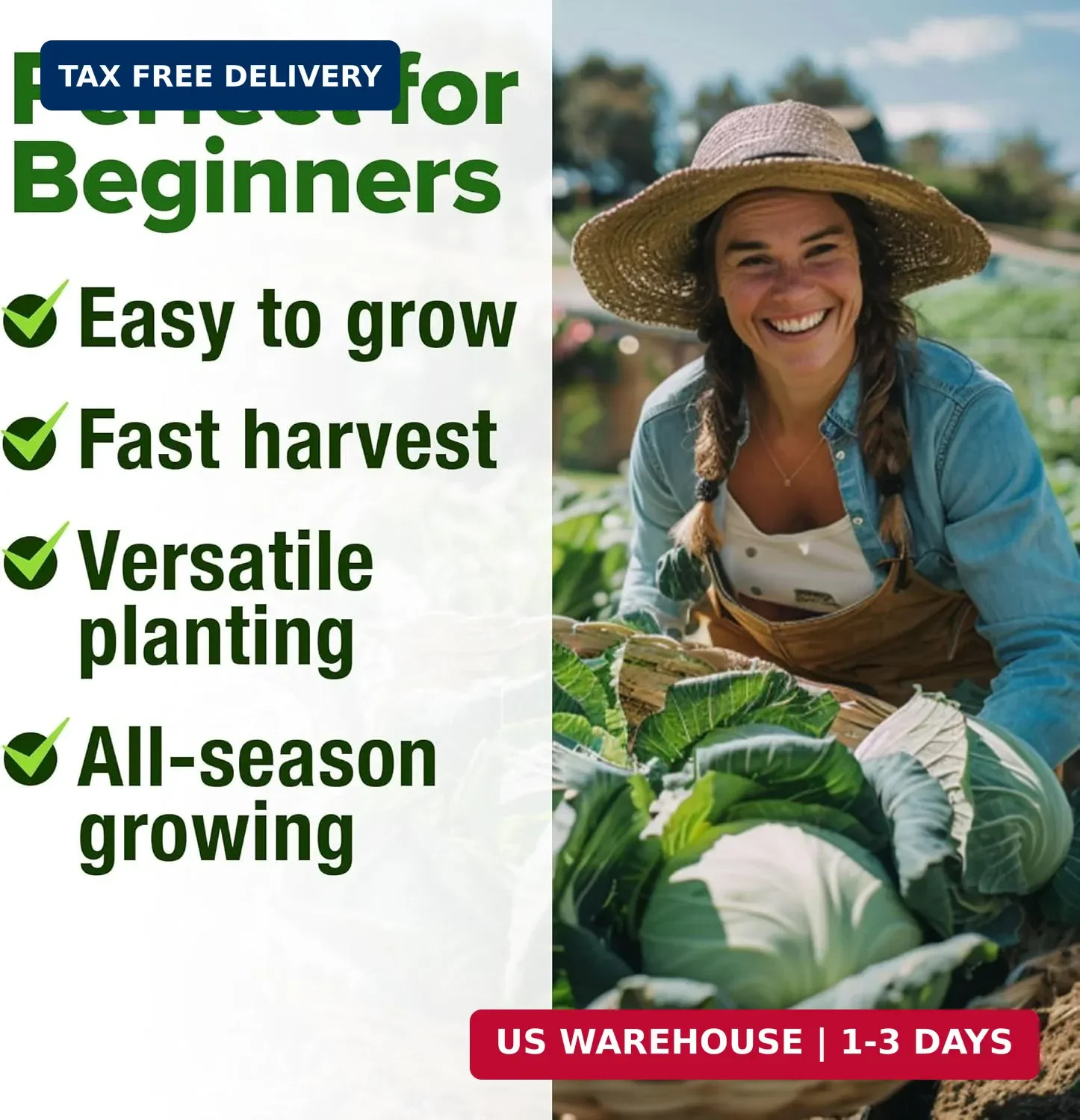 HOME GROWN Cabbage Seeds 7 Variety Mix 2000+ Heirloom Non-GMO, High Germination,