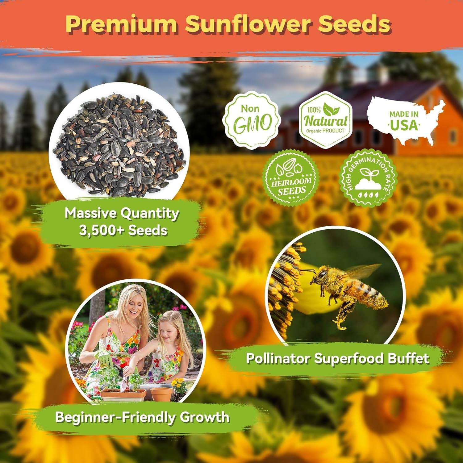 Sunflower Seeds for Planting | Giant Mammoth Sunflower Bulk Packet 3000+Heirloom