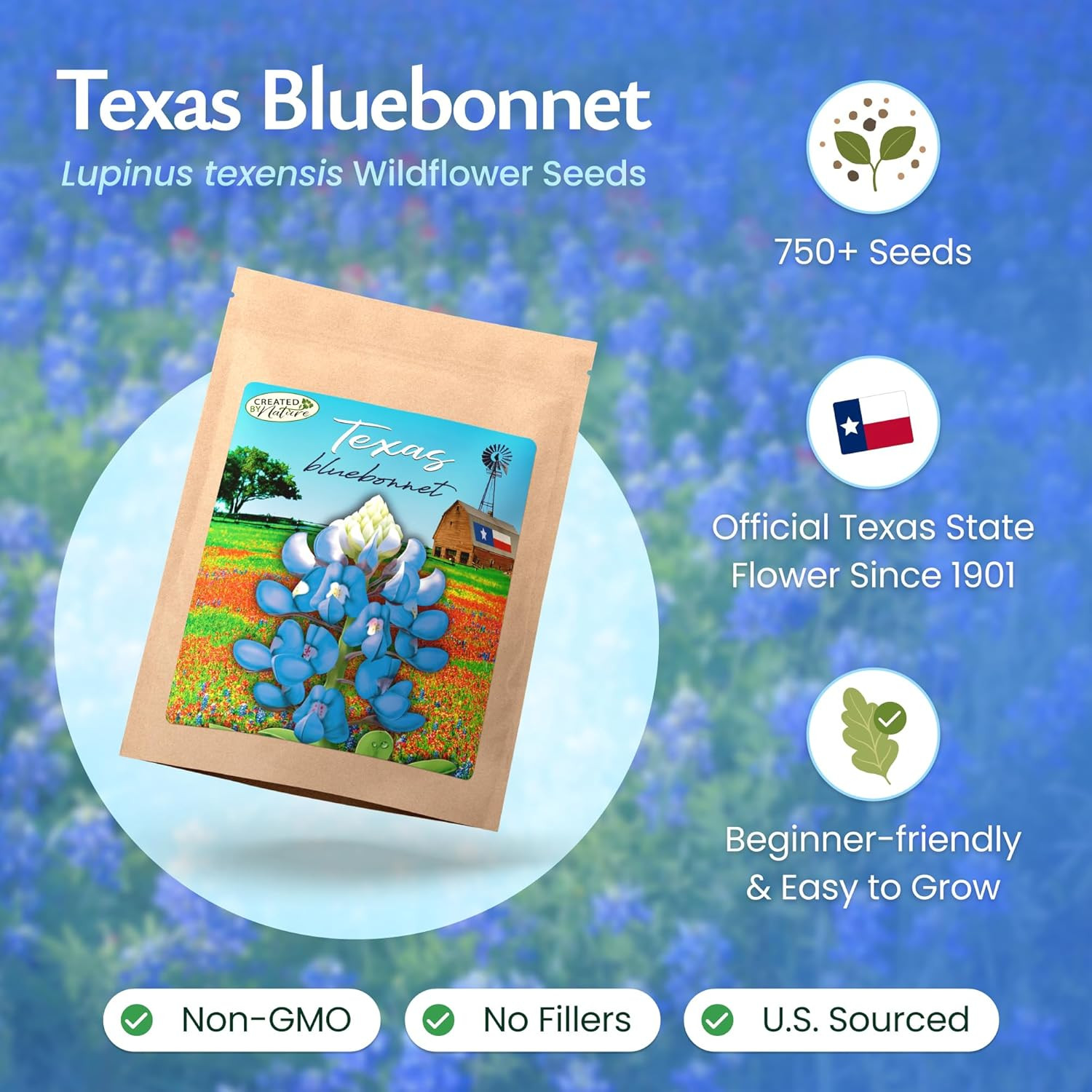 Texas Bluebonnet , 750+ Wildflower , Texas State Flower