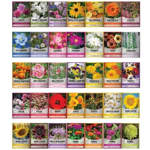 35 Flower Seed Packets – Perennial, Annual & Wildflower Seeds for Bees & Butterf