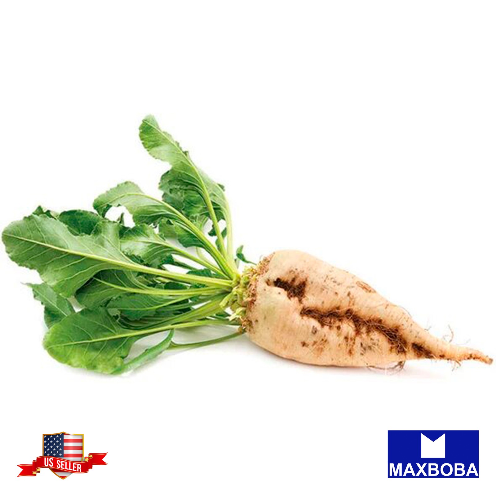 50 Sugar -Beta vulgaris Beet Fresh Seeds -Non-GMO Heirloom Vegetable