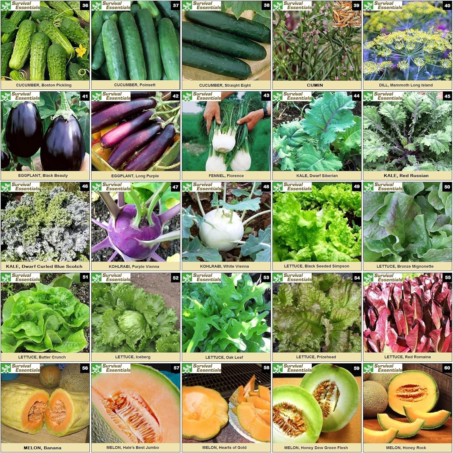 Heirloom Seed Vault: 135 Varieties, All Zones, Rare Tomato Seeds Included