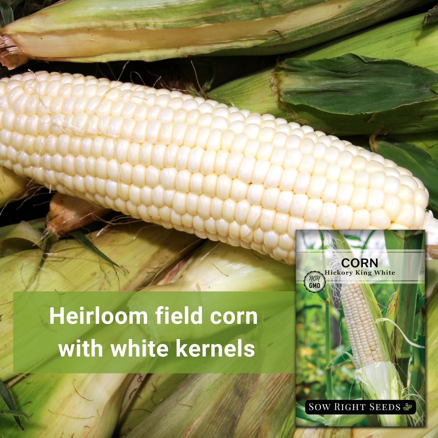 Hickory King White Corn Seeds for Planting NonGMO Heirloom Packet with Inst…