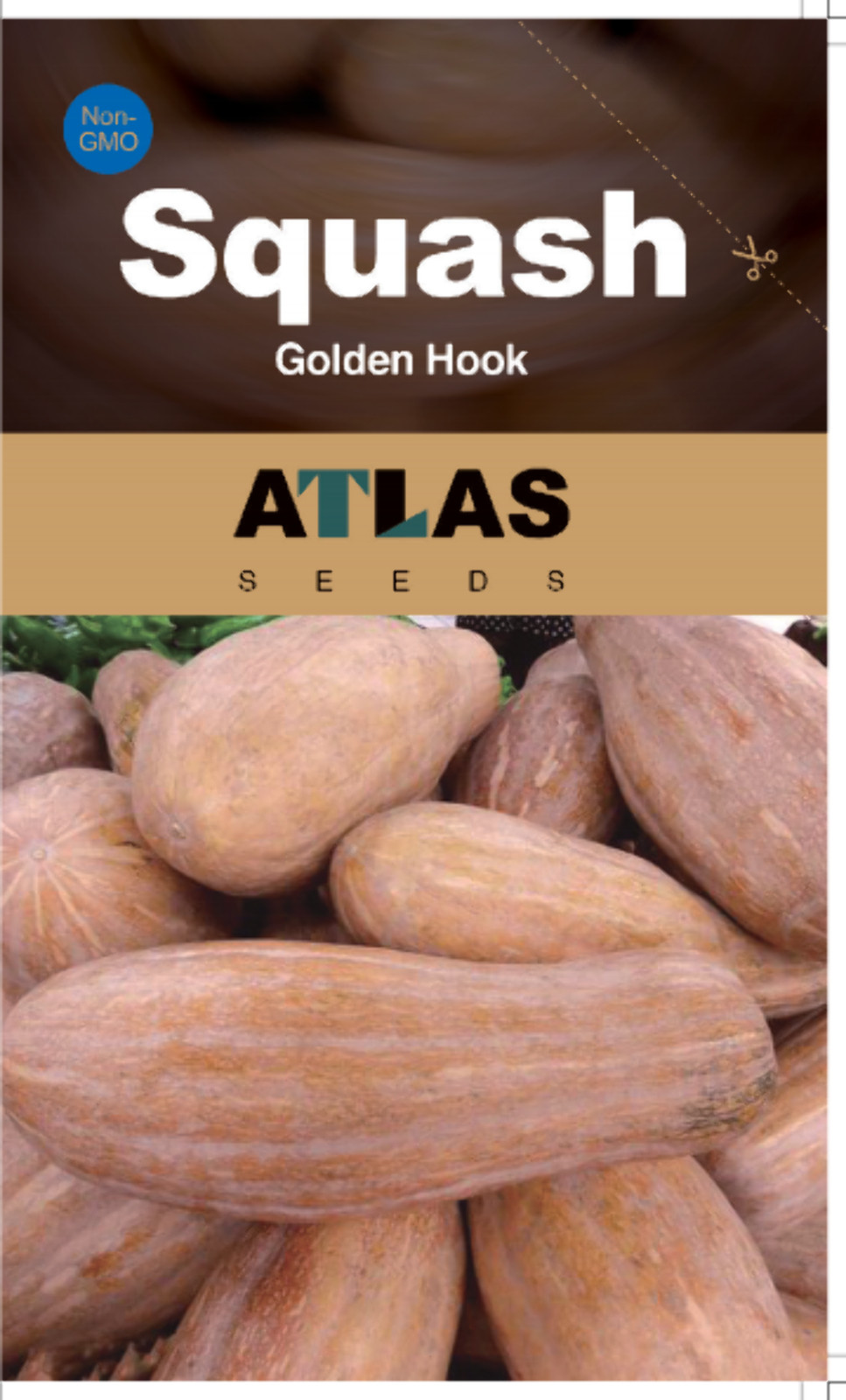 Butternut Squash Seeds Non-GMO Sweet High Yield Garden Favorite