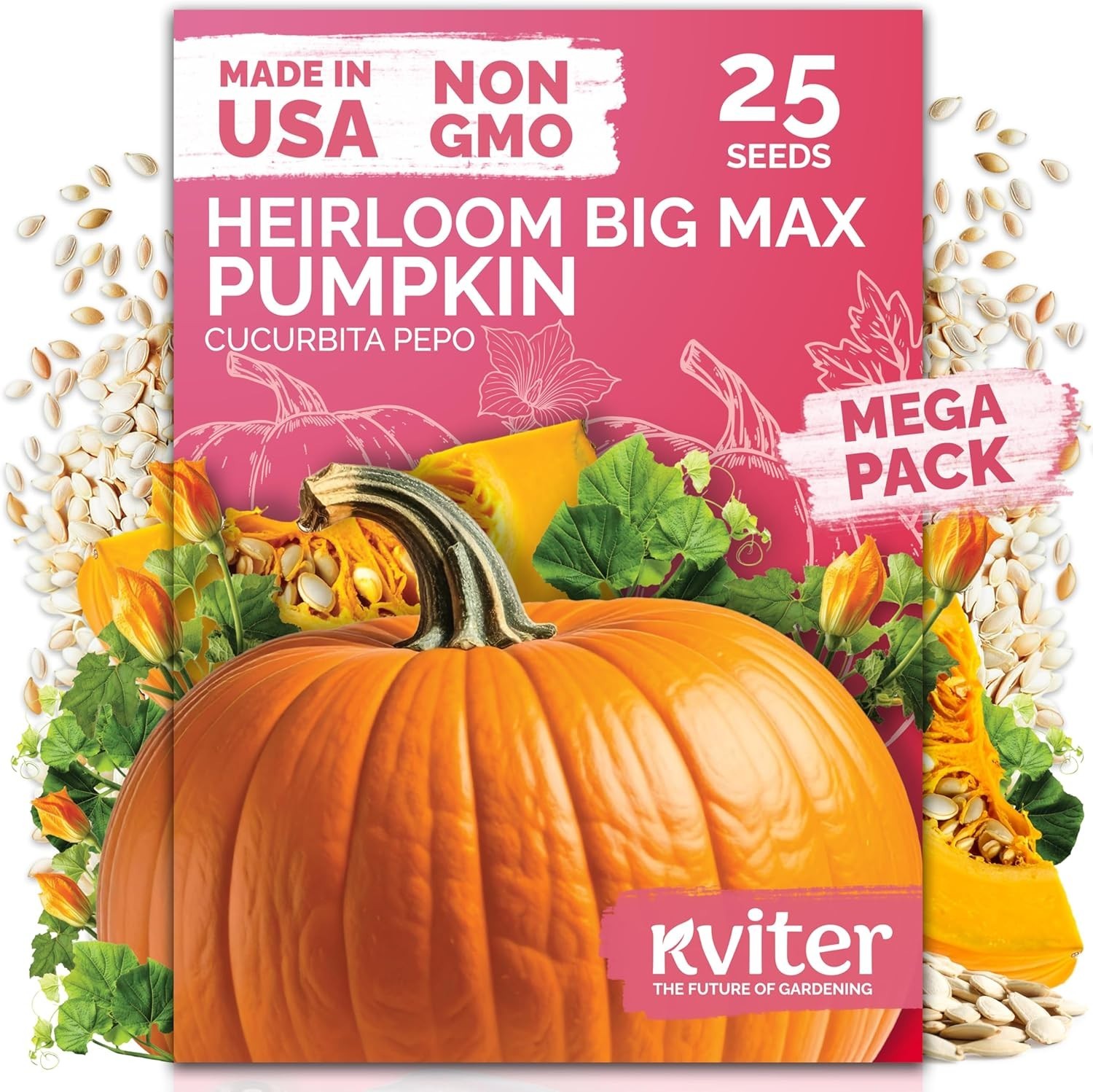 Grow 100 lbs with 25 Big Max Pumpkin Seeds – High Yield & Disease Resistant!