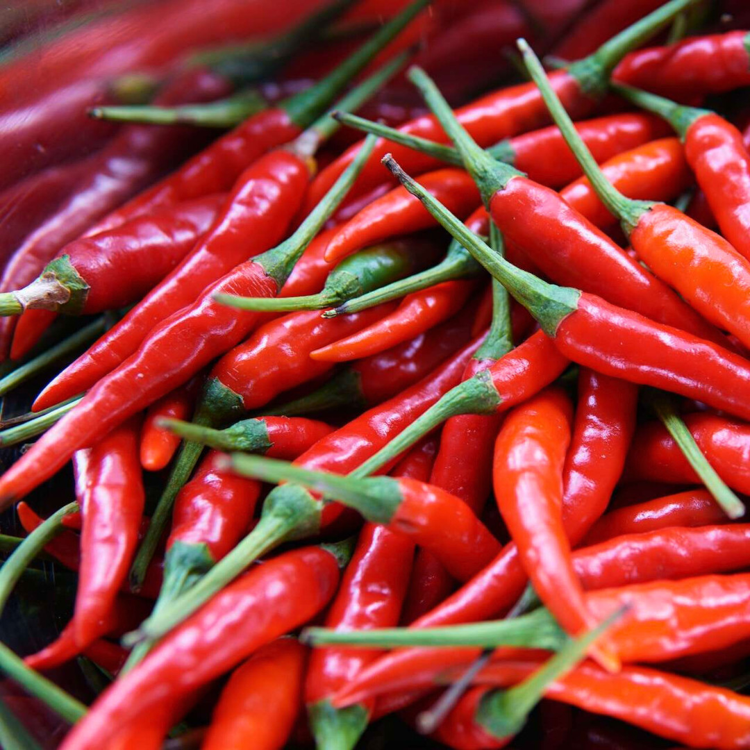 Fresh Birdseye Pepper Seeds | Wai Yee Hong | Heirloom Non-GMO | Vegetable Seeds