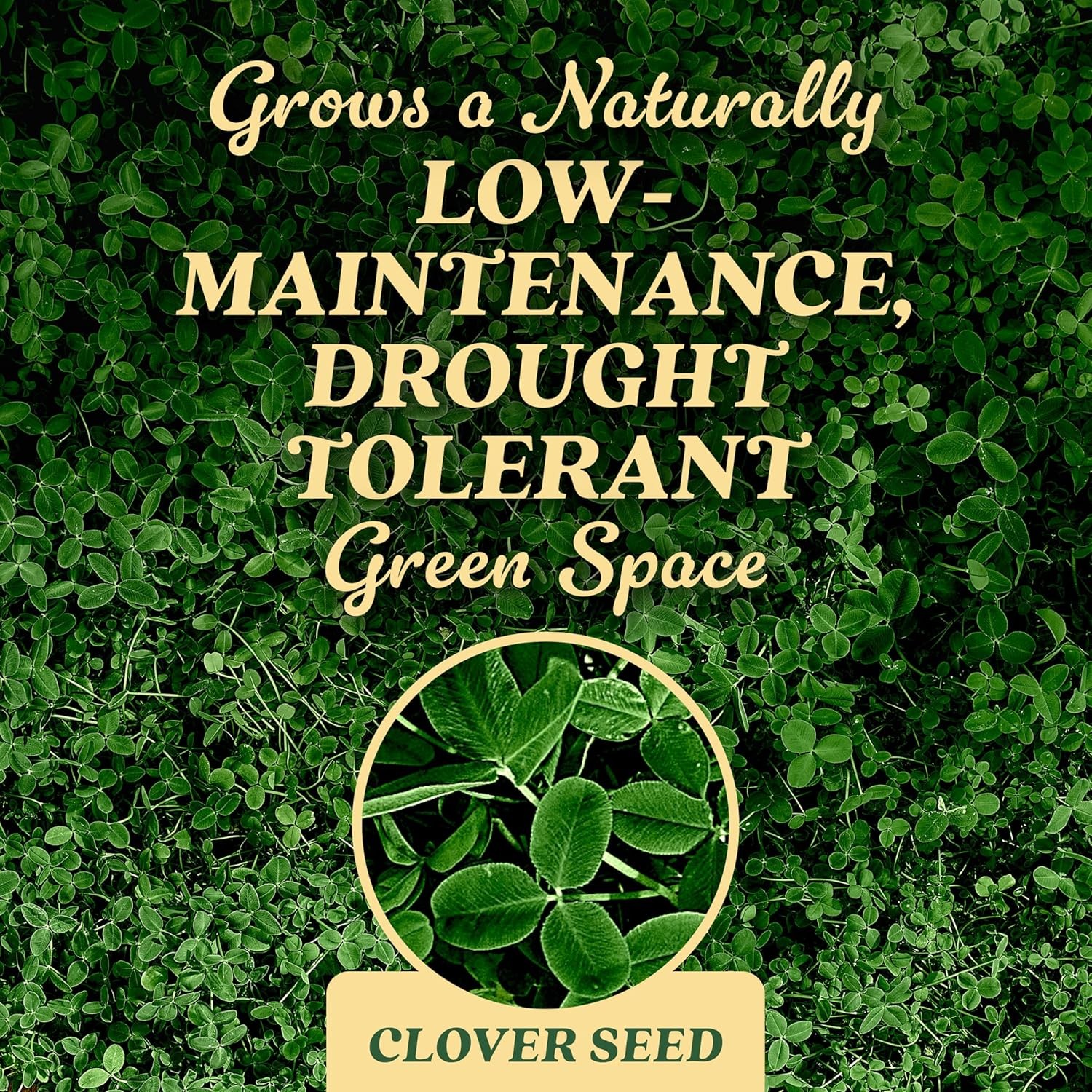 O.M. Scott and Sons Clover Seed, Lawn Seed Grows a Naturally Low Maintenance, Dr