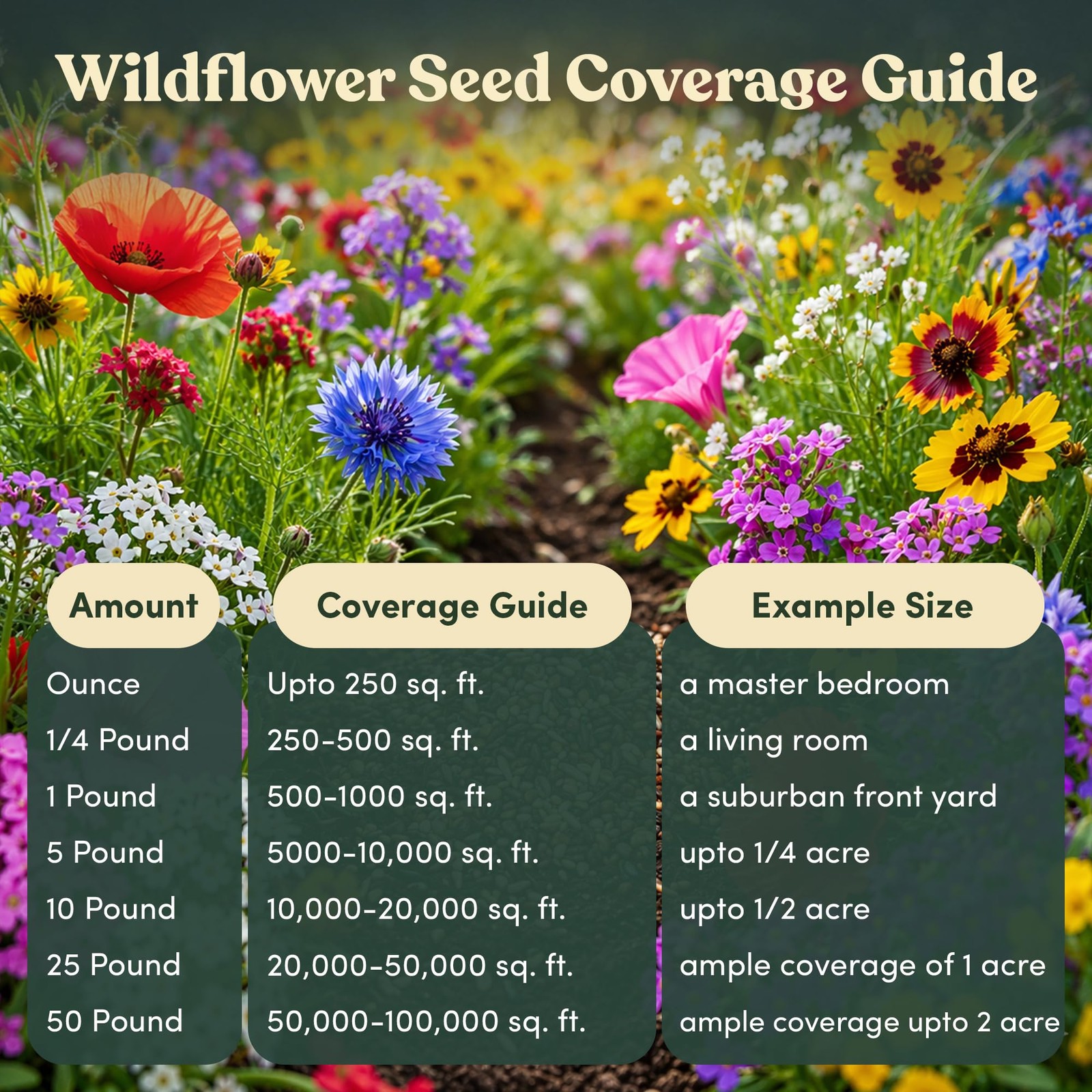 Annual Wildflower Seed Mix 17 Varieties for Pots & Gardens 1 lb Tub