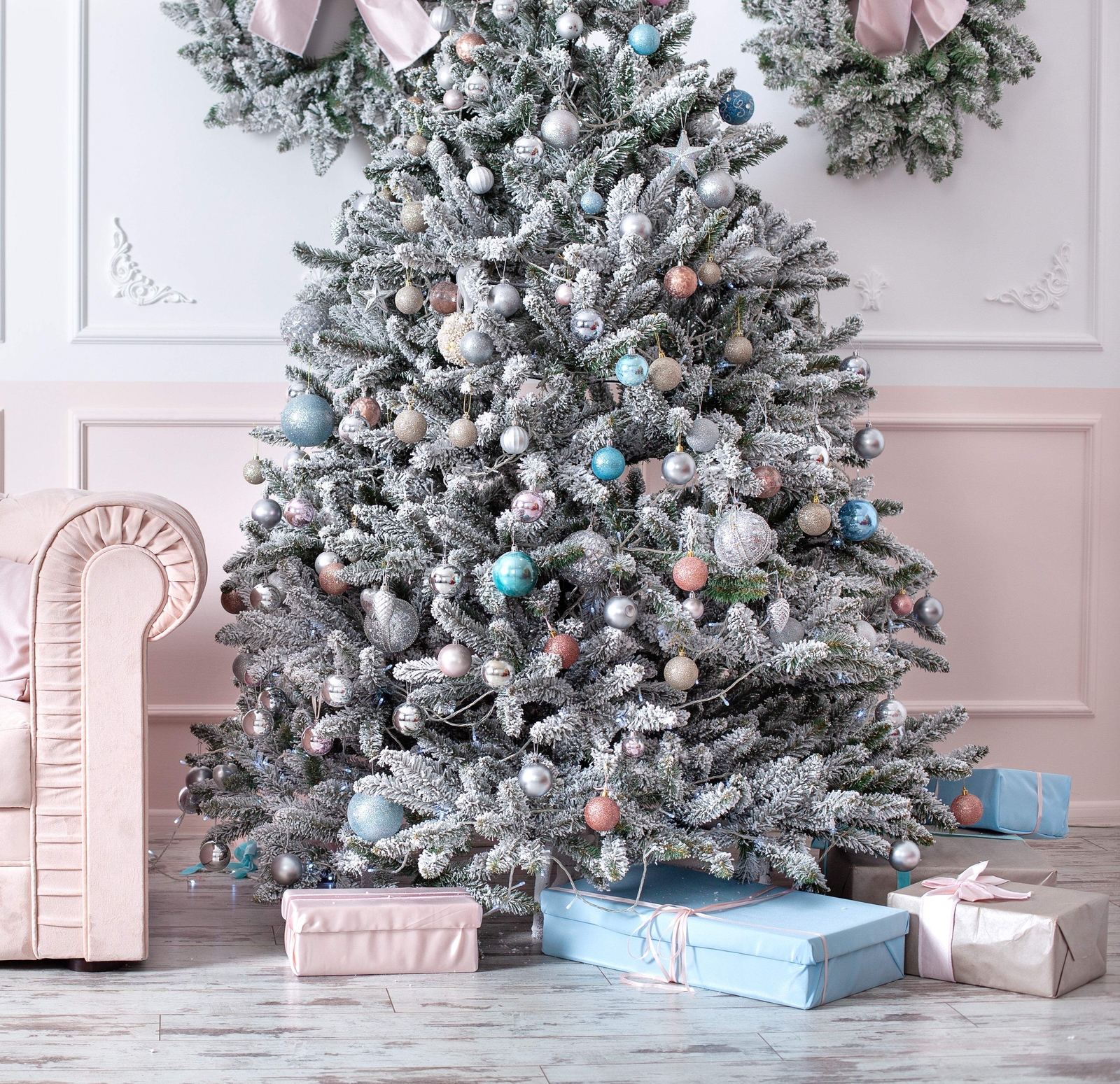 Grow Your Own CHRISTMAS TREE Colorado Blue Spruce Picea Pungens Gift Seed Packet