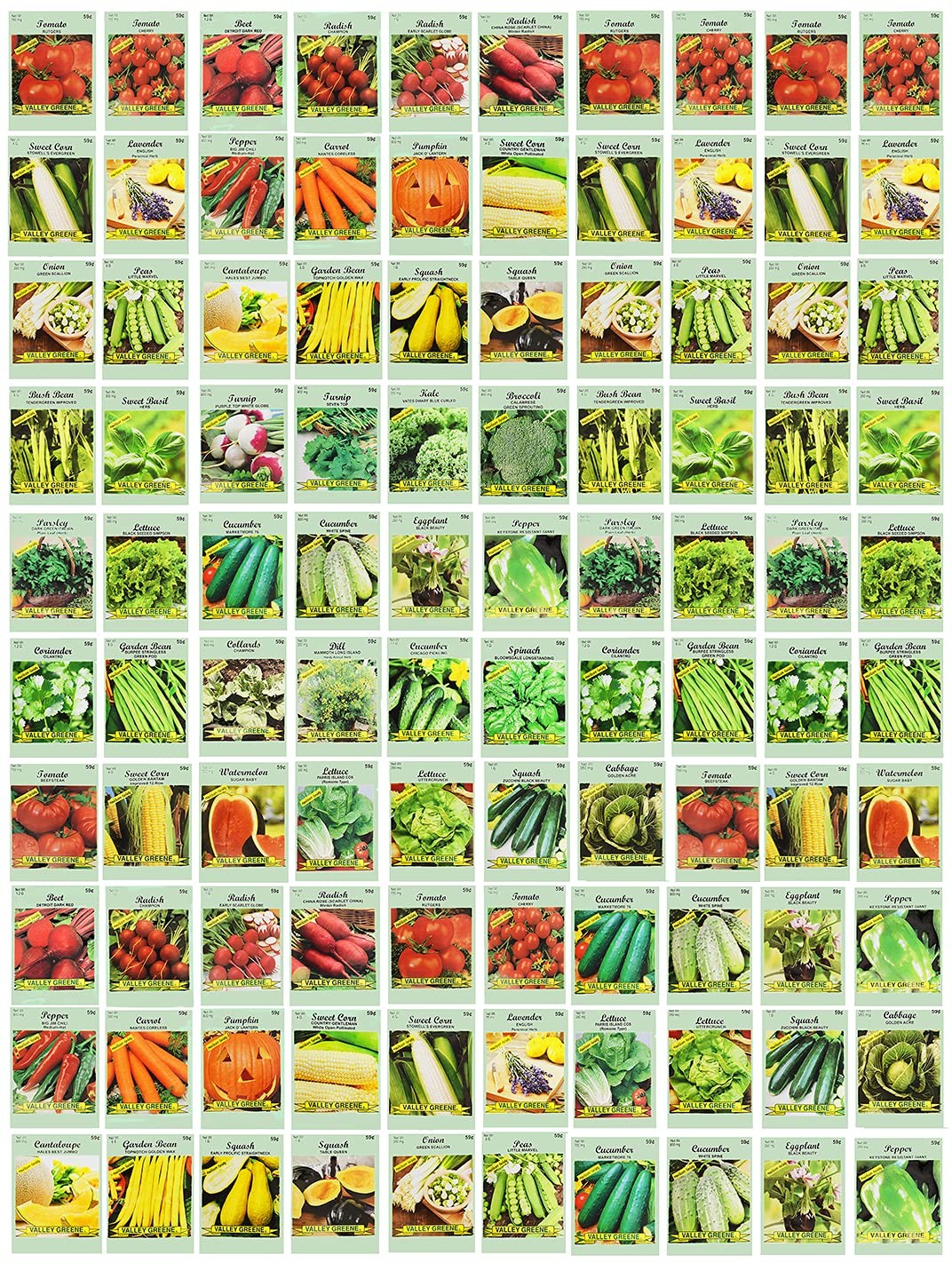 100 Assorted Heirloom Vegetable Seeds Non-GMO, Deluxe Assorted Vegetable Seeds