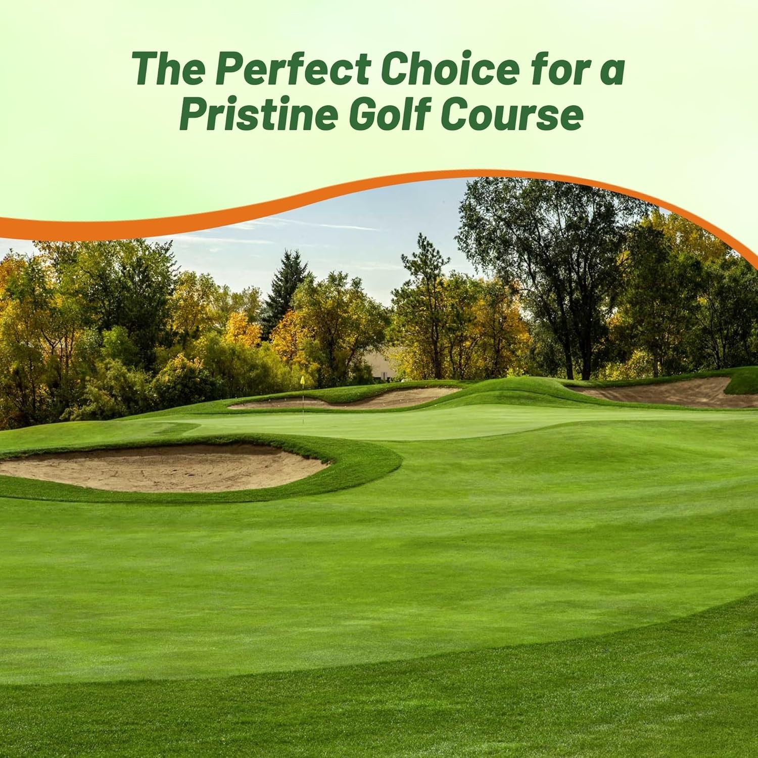 25 LBS V8 Creeping Bent Grass Seed For Golf Courses & Putting Greens