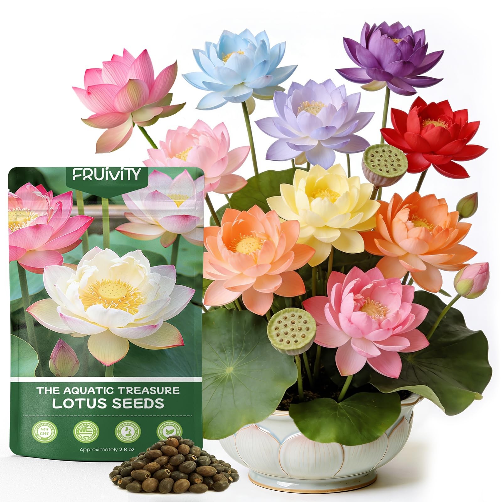 60 PCS Lotus Seeds for Planting in Water – Mixed Color Bowl Lotus Seeds, Live…